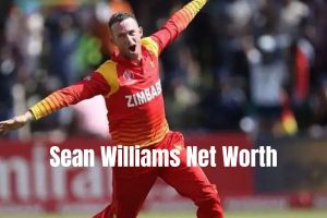 Sean Williams Net Worth