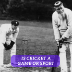 Is Cricket a Game or Sport