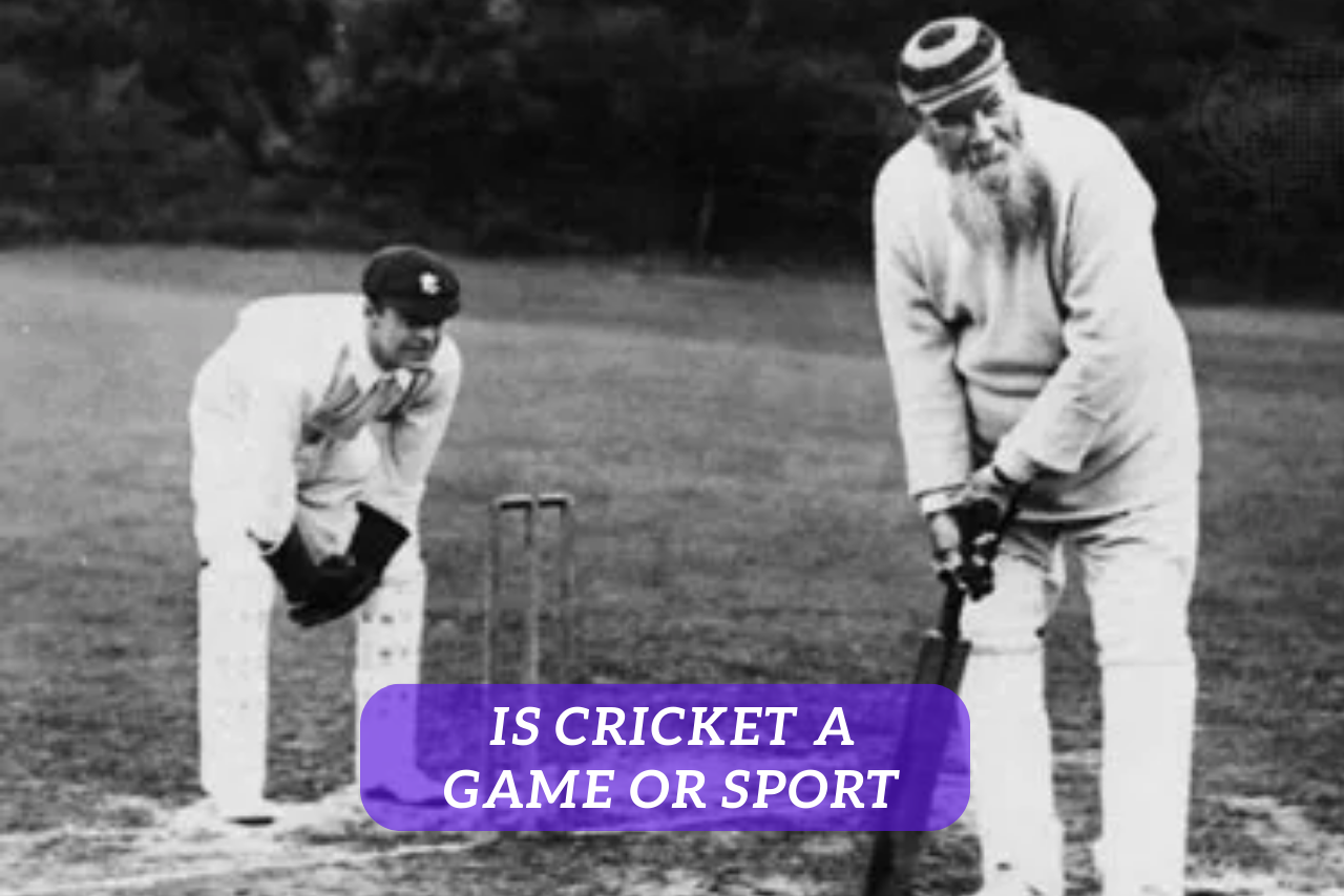 Is Cricket a Game or Sport
