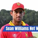 Sean Williams Net Worth