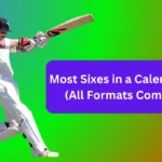Most Sixes in a Calendar Year (All Formats Combined)