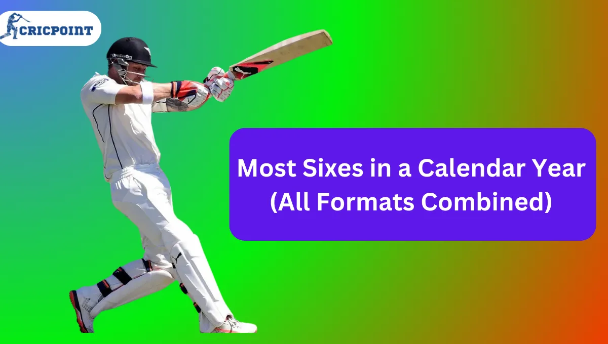 Most Sixes in a Calendar Year (All Formats Combined)
