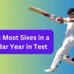 Most Sixes in a Calendar Year in Test