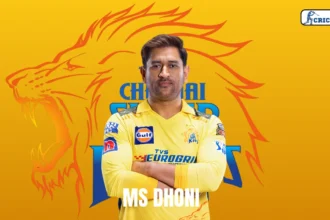 MS Dhoni IPL Stats