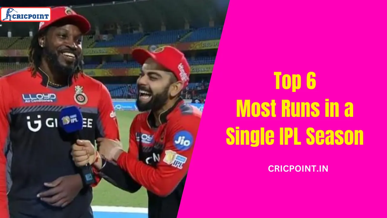 Top 6 Most Runs In A Single Ipl Season 